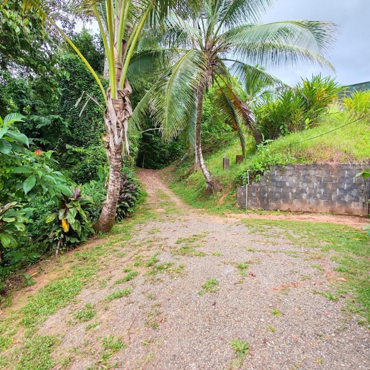 Corcovado Green Cabin Drakes Bay Exterior foto