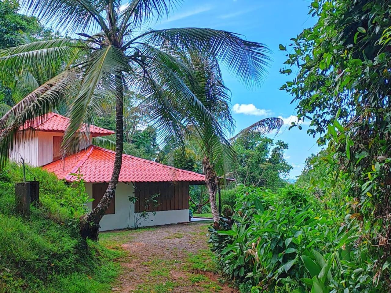 Corcovado Green Cabin Drakes Bay Exterior foto