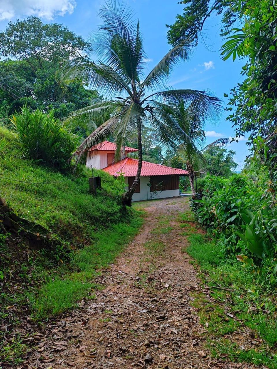 Corcovado Green Cabin Drakes Bay Exterior foto